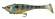 dunkle illex chartreuse strike gill