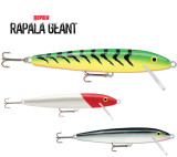 rapala geant