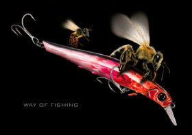 affiche way of fishing 01