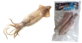 calamars congelés individuellement pexeo