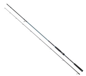 canne daiwa caldia seabass