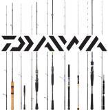 canne pêche daiwa