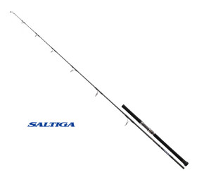 saltiga casting daiwa