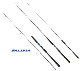 saltiga jigging daiwa