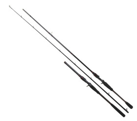 canne inclusive cast