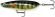 x rap scoop rapala