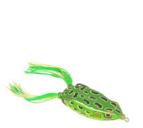 bronzeye frog spro
