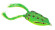 bronzeye frog spro green tree us