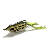 kicker frog evergreen frog