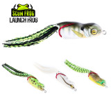 scum frog launch frog grenouille
