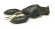Sleeper craw megabass