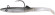 raglou hybrid pelagic ayug RAGOT