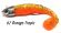 astushad orange tropic