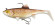 trout-replicants_brown-trout