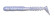 rockvibe shad 433 magic