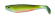 shad gt delalande coloris 134