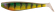 zander pro shad stickleback