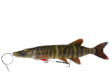 4d line thru pike savage gear