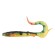 Iris Shocktail leurre SPRO Perch