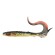 Iris Shocktail leurre SPRO Northerm Pike