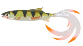 reptile shad perch