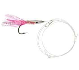 Teaser Ragtuna RAGOT