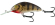 hornet floating salmo 9cm emerald perch