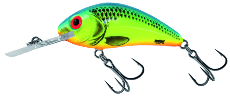 Rattlin hornet floating SALMO crankbait spécial peche de la truite au  lancer et traine !