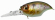 wiggle griffon megabass crankbait