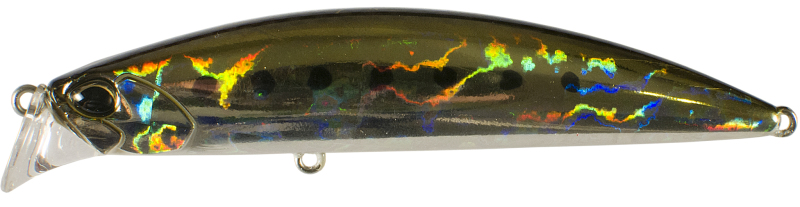 Leurre BEACH WALKER 95 AXCION duo Jerkbait lancer dans les