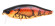 i jack megabass wild craw