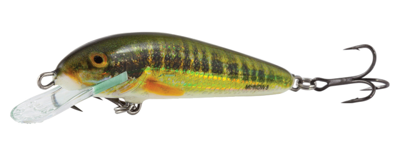 Salmo minnow Leurre jerbait minnow pour la truite et le carnassier.