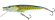 pike floating salmo