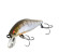 tournament wise minnow 50 et 70fs DAIWA