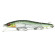 vision 110 megabass lbo