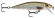 x-rap countdown rapala