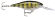 shad rap rapala