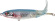 whopper plopper river2sea