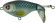 whopper plopper 75 river2sea 