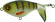whopper plopper 75 river2sea 