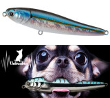 leurre chihuahua 2025 reel3