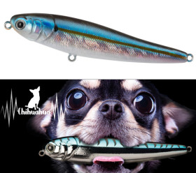 leurre chihuahua 2025 reel3