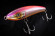 halfbeak-pink fishus