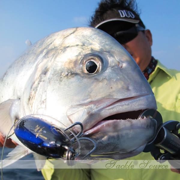 Leurre Flottant Duo Rough Trail Aomasa Lightning 190F, 74g, Couleur CYA0860, Pour Pêche En Mer