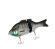 explorer gill baitsanity blue gill