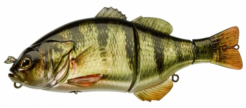 Leurre Swimbait Illex Gantarel 16cm - big bait - brochet - Leurre de la  pêche