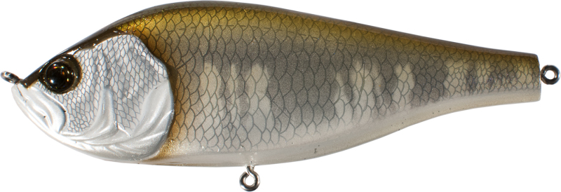 Leurres De Pêche Articulés 5 Pièces – Swimbait Réaliste Pour Achigan, Brochet, Truite, Pêche Eau Douce Et Eau Salée