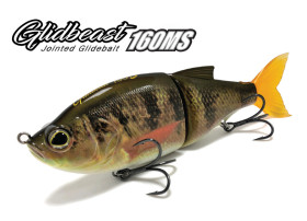 BIWAA Glidbeast 160ms