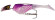 headbanger shad 11cm deep purple