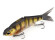 kgb chad shad spro 2023